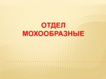 ОТДЕЛ МОХООБРАЗНЫЕ