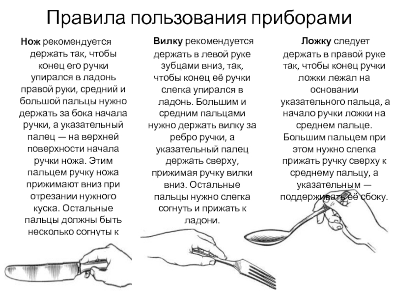 Нож в правой вилка в левой. Правильно держать вилку. Как держать вилку. Как держать вилку в левой руке. В правой руке нож в левой руке вилка.