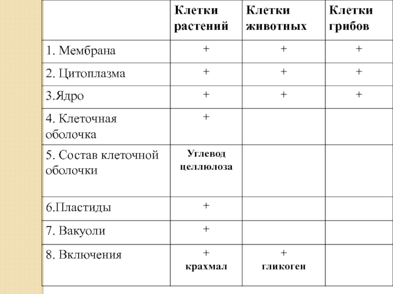 Практическая работа по биологии клетка. Сравнение органоидов растительной и животной клетки таблица. Сравнительная таблица строения клеток бактерии растения и животного. Сравнение строения растительной и животной клетки таблица 10 класс. Сравнение клеток растений и животных таблица 9 класс.