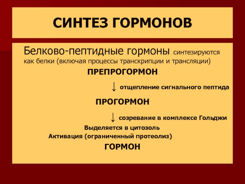 Синтез гормонов в организме