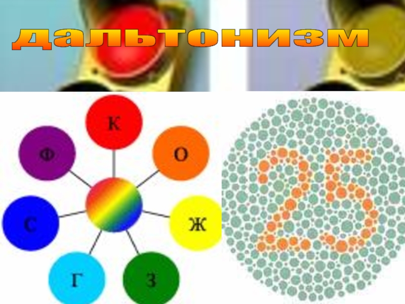 Наследование дальтонизма. Презентация на тему дальтонизм. Дальтонизм генетика. Дальтонизм ЕГЭ биология.