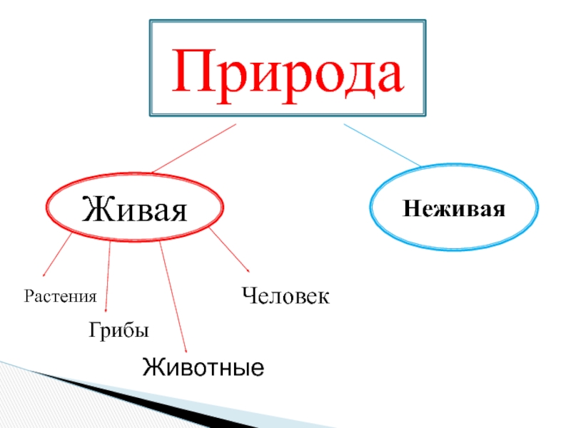 Гриб живое или неживое. Живая и неживая природа окружающая растения животных и человека это. Грибы это Живая или неживая природа. Материя природа неживая Живая. Материя неживая и Живая царства.