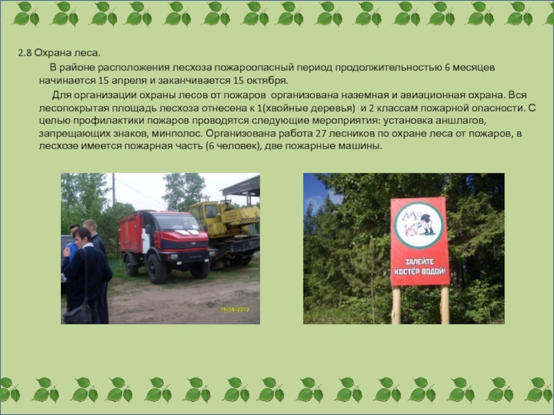 Сайт лесной охраны. Охрана лесов. Символ охраны лесов России. Наземная охрана лесов от пожаров. Охрана леса организация.