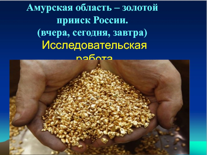 Амурская область - золотой прииск России