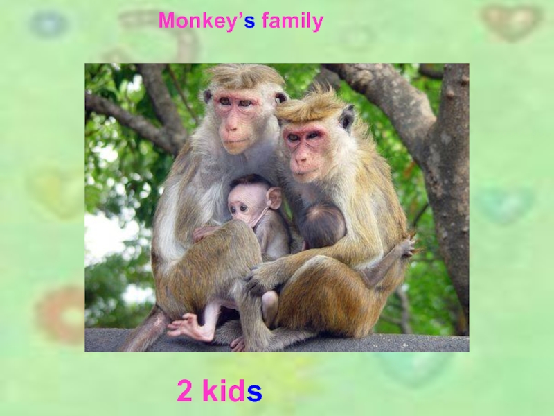 2 kidsMonkey’s family