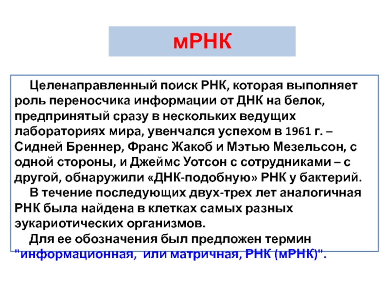 мРНК
Целенаправленный поиск РНК, которая выполняет роль переносчика информации