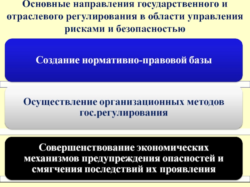 Направление государственного управления. Основные направления государственного регулирования. Направления государственного управления. Направления государственного регулирования рисками. Основные направления безопасности жизнедеятельности.