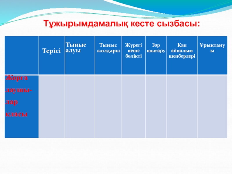 Тұжырымдамалық карта үлгісі