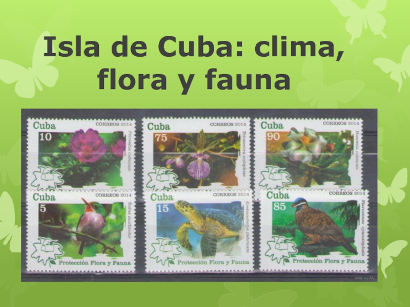 Презентация Isla de Cuba: clima, flora y fauna
