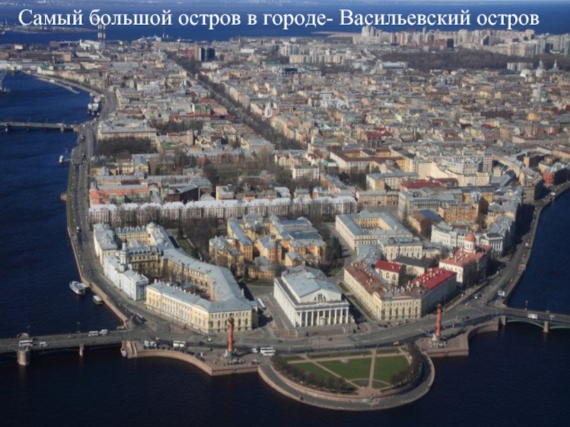 Самый большой остров в городе- Васильевский остров