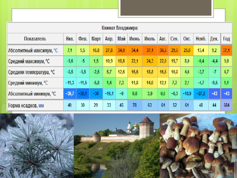 Погода во владимире на месяц. Климат Владимирской области. Климатические условия Владимирской области. Климат г Владимир. Климат Владимира таблица.