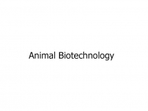 Animal Biotechnology