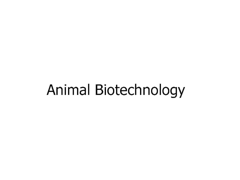 Презентация Animal Biotechnology