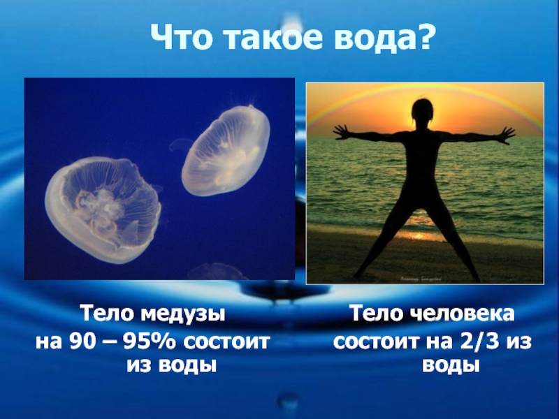 Что такое вода?Тело медузы на 90 – 95% состоит из водыТело человека состоит на 2/3 из воды