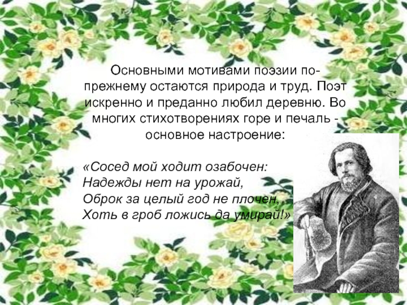 План родина дрожжин