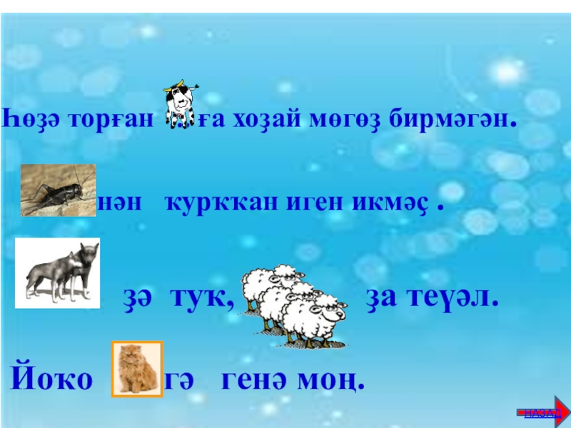 Башкирские пословицы. Пословицы и загадки на башкирском языке. Пословицы о родном языке на башкирском языке. Башкирские пословицы на башкирском языке. Пословицы о языке на башкирском языке.