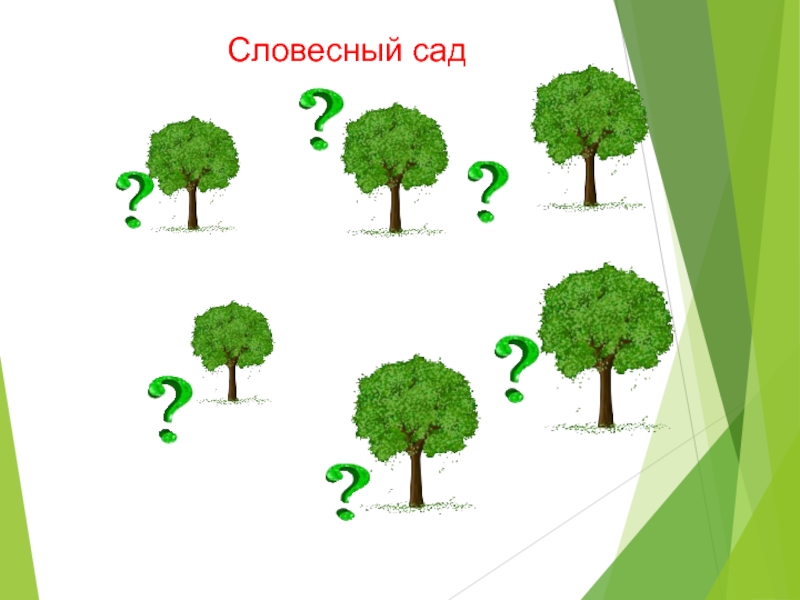 История слова сад. Родственные слова сад. Проект семья слов картинки.