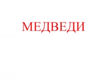 Медведи