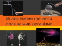 підготував:
Чорний Євген
Вплив елелектричного поля на живі організми