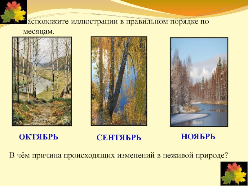 Какие изменения происходят в классе. Осенние изменения в природе. Изменения в природе осенью. Изменения в живой природе осенью. Сезонные изменения в природе осенью.