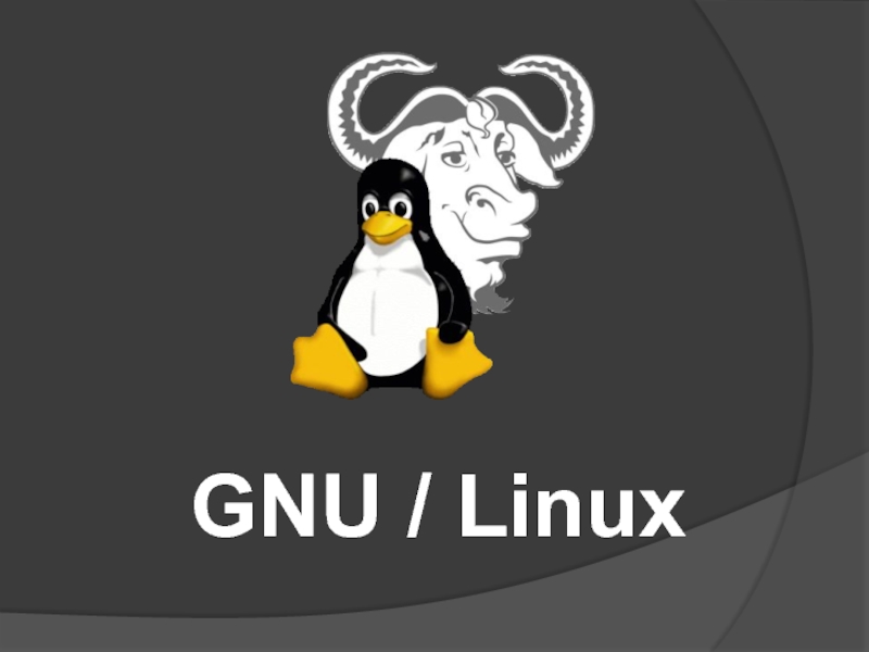 Проект gnu что это