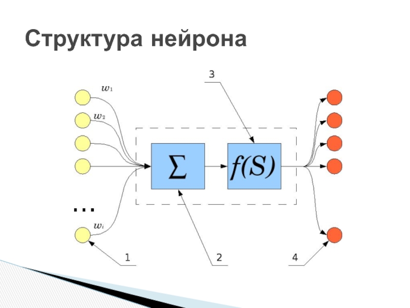 Нейрончик образовательный проект