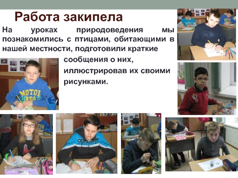 Урок естествознания 5 класс. Проект какой я житель. Проект какой я житель 1 класс. Кто придумал урок природоведения. Где то на уроке природоведения.