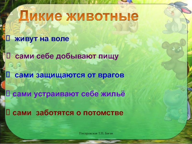 Жизнь животных окружающий мир 1 класс. Как живут животные. Как живут животные 1 класс окружающий мир. Как живут животные презентация 1 класс. Как живут животные 1 класс школа России презентация.