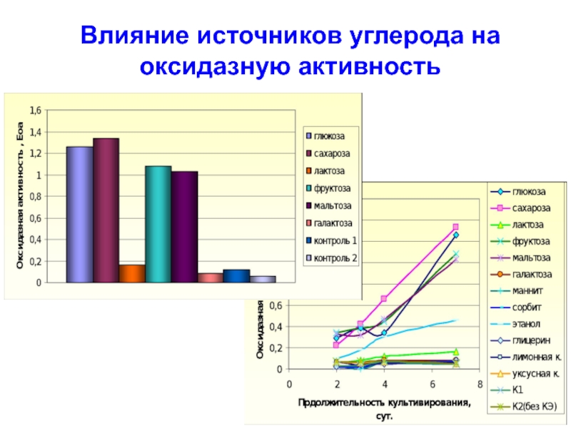 Инженерная энзимология презентация