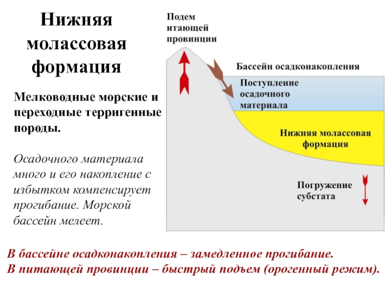 Геотектоника это. Молассовые отложения. Молассовые формации. Нижняя молассовая формация. Молассовая формация накапливалась.