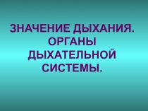 ЗНАЧЕНИЕ ДЫХАНИЯ. ОРГАНЫ ДЫХАТЕЛЬНОЙ СИСТЕМЫ