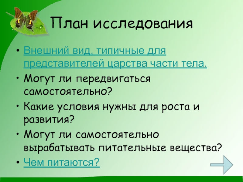 Какие условия нужны для. План изучения слова. Почему растения выделяют в отдельное царство. Доклад бизнес плана грибы.