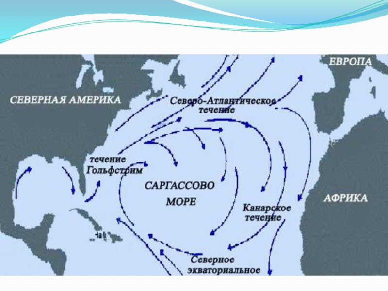 Карта течений северной америки