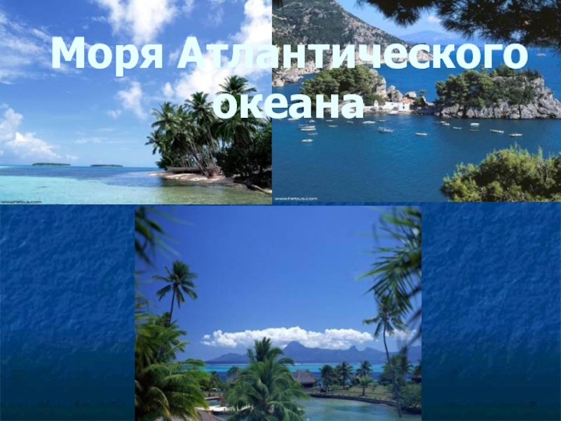 Моря и реки 4 класс. Моря Атлантического океана 4 класс. Моря Атлантического океана России 4 класс. Океаны 4 класс.