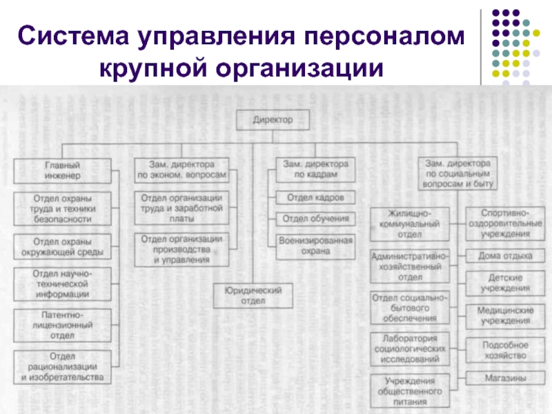 Структура управления персоналом. Система управления персоналом в крупной компании. Система управления персоналом отдел кадров крупной компании. Методологические основы управления персоналом организации. Отечественной системы управления персоналом.