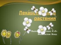 Лекарственные растения