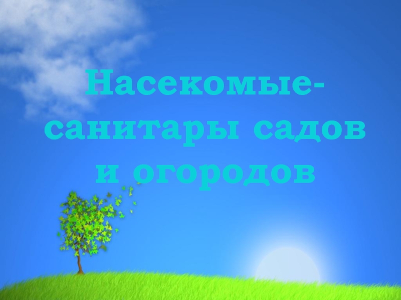 Презентация Насекомые - санитары садов и огородов
