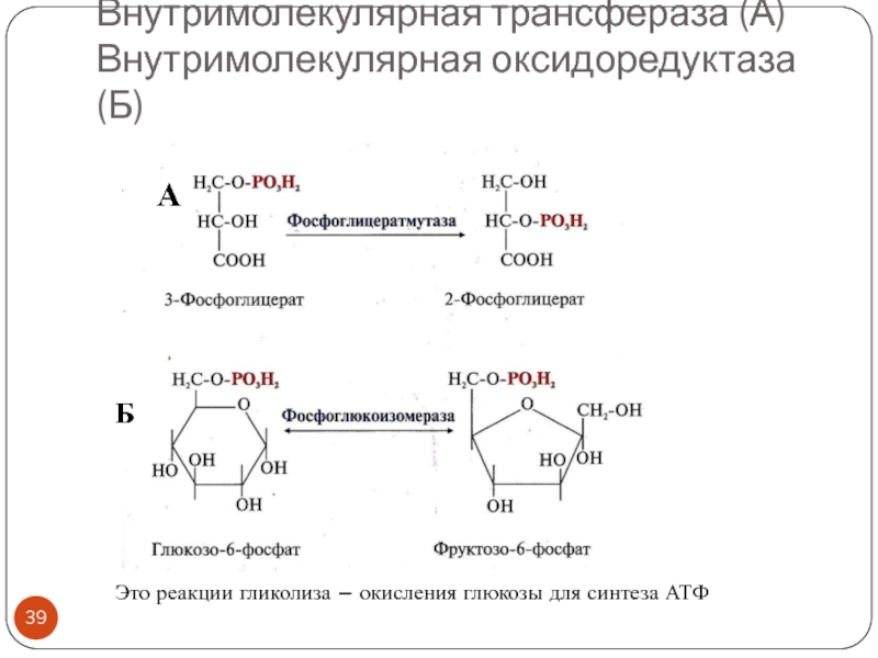 Ферменты катализирующие синтез. Трансферазы примеры реакций. АТФ глюкозо фосфат трансфераза. Примеры трансфераз ферментов реакций. Реакции катализируемые трансферазами.