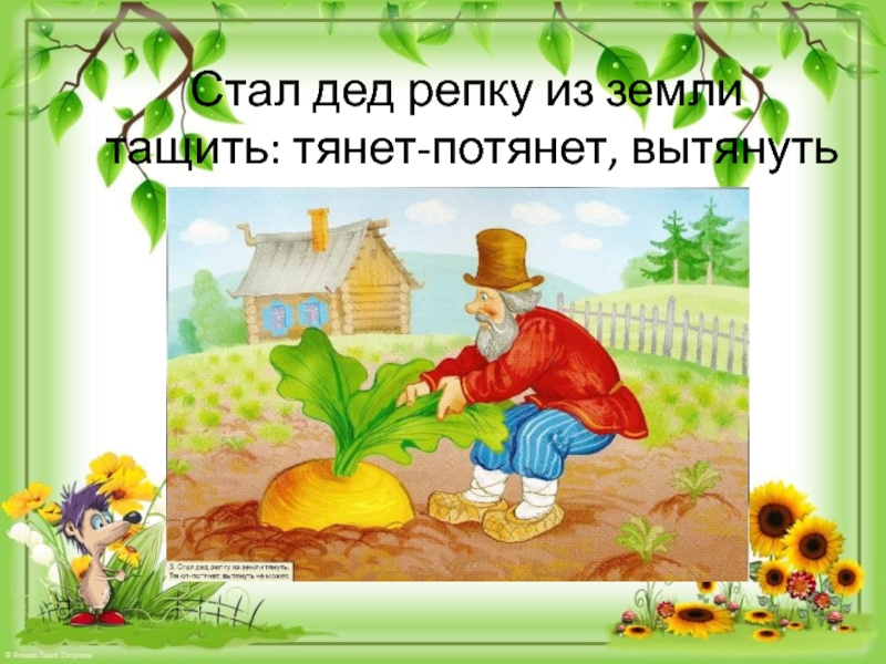 Потянут вытянуть не могут. Дед тянет репку. Стал дед репку из земли тащить. Стал дед репку тянуть. Сказка Репка презентация.