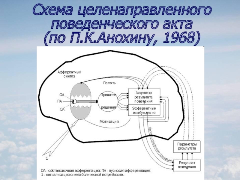 Схема фус поведенческого акта