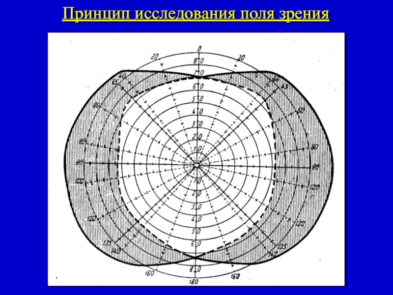 Поли зрения. Исследование полей зрения периметрия. Изоптера периметрия. Кампиметр для исследования поля зрения. Метод периметрии.