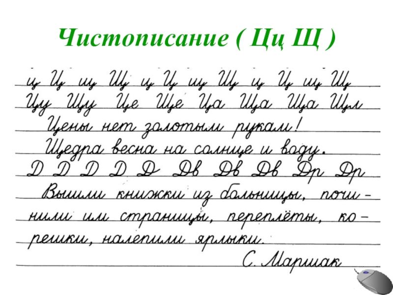 Тексты для чистописания 2 класс образцы распечатать