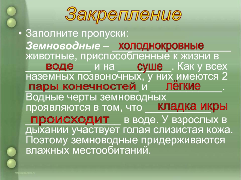 Презентация холоднокровные позвоночные животные 5 класс