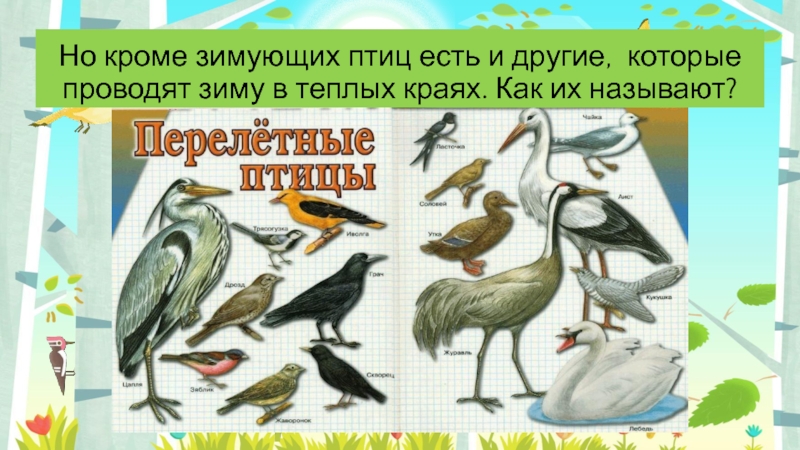 Технологическая карта урока по окружающему миру 1 класс где зимуют птицы