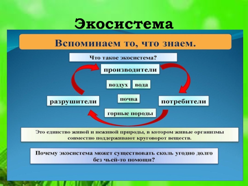 Городские экосистемы и их значение для человека презентация