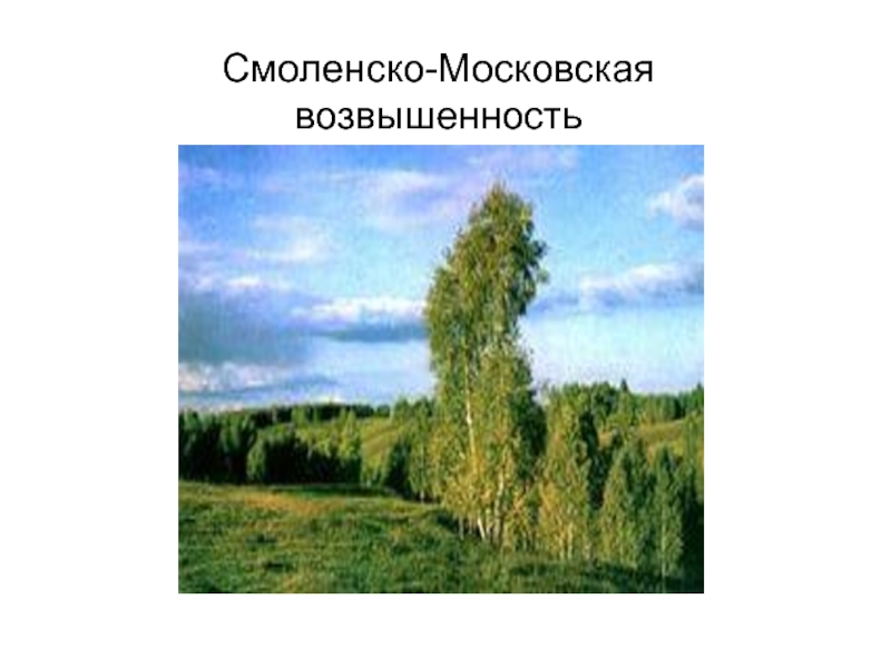 Смоленско московская возвышенность презентация