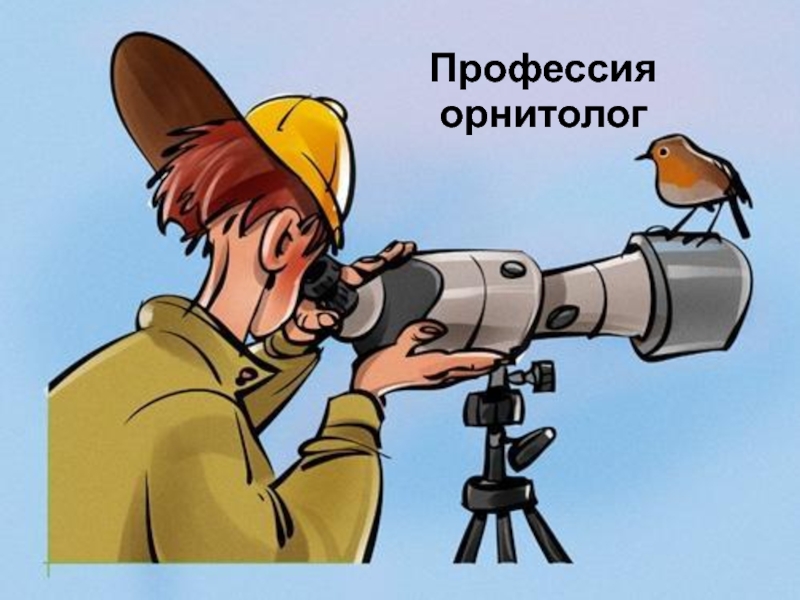 Презентация Объединение Юные орнитологи Башкирии
Профессия орнитолог