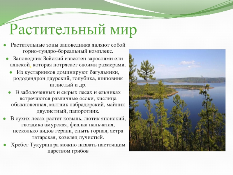 Презентация особо охраняемые природные территории амурской области