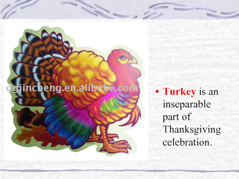 Turkey is an inseparable part of Thanksgiving celebration.