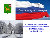 к отчету об исполнении
б юджета городского округа БРОННИЦЫ
за 2017 год